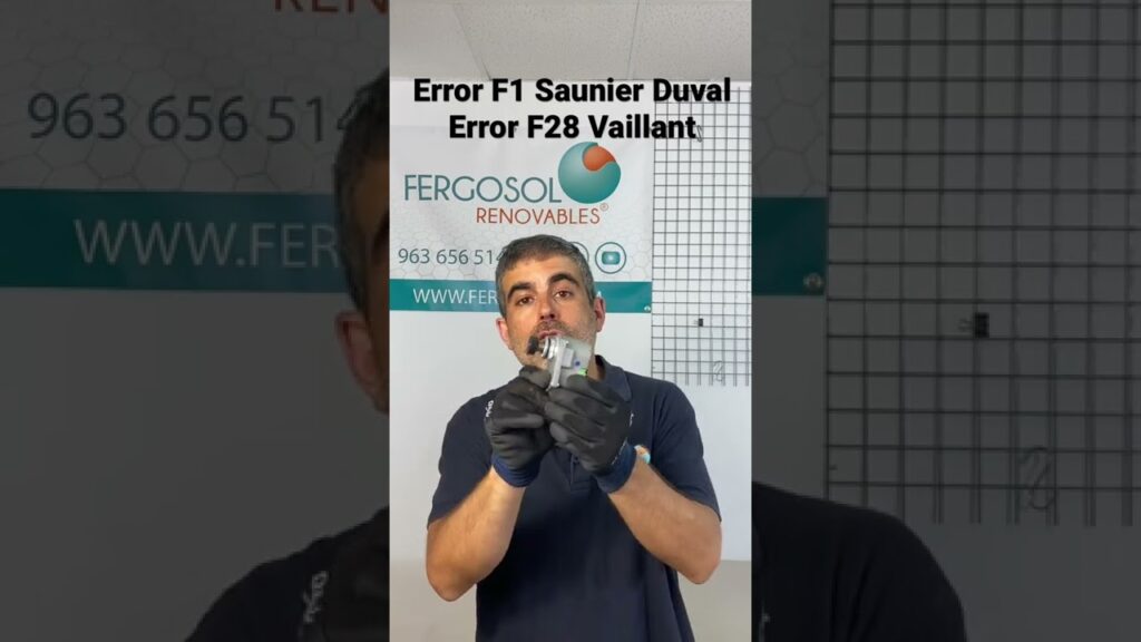 saunier duval o vaillant